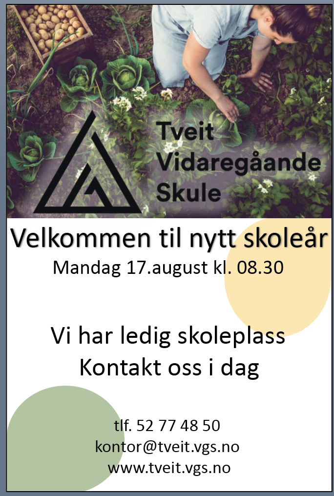 Skjermbilde 2020-08-12 kl. 13.30.21