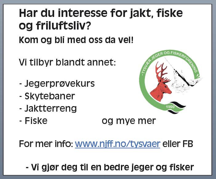 Skjermbilde 2020-08-12 kl. 13.31.27