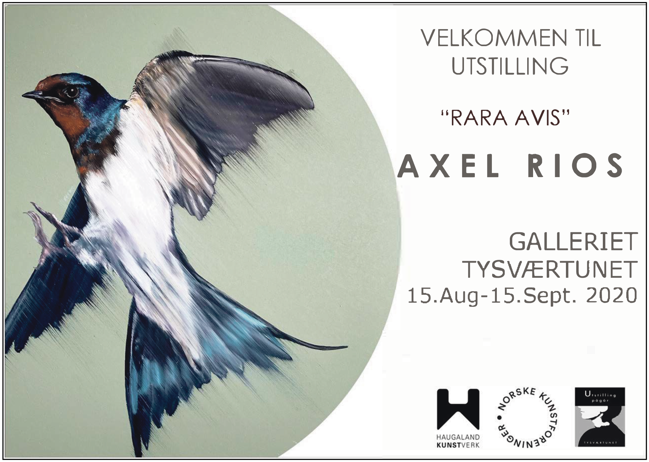 Skjermbilde 2020-08-20 kl. 14.50.01