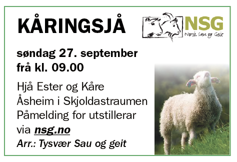 Skjermbilde 2020-09-16 kl. 13.30.09