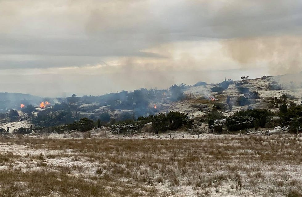 En del lesere har lurt på hva som egentlig skjedde nær Troppene i dag. I denne saken får du svaret.
Foto: Bygdeblad-tipser