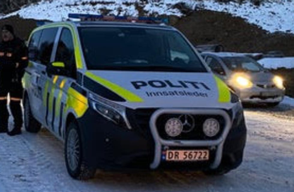 Skjermbilde 2021-02-02 kl. 10.43.33