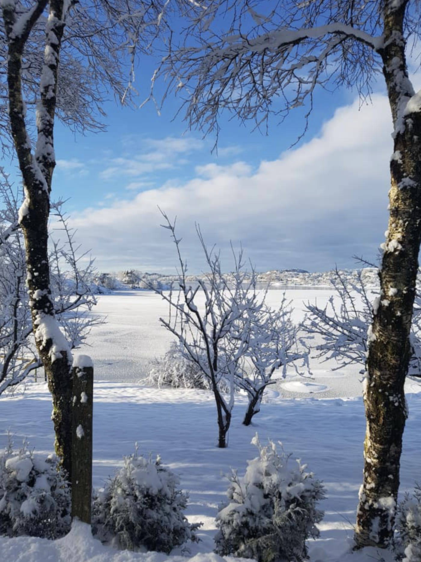 Skjermbilde 2021-02-02 kl. 14.22.16