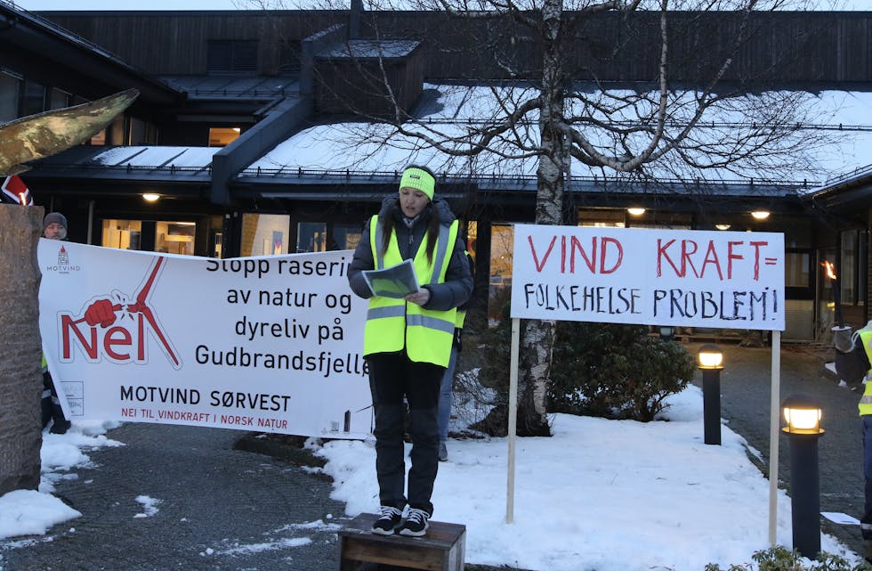 Under hovudparolen Vindkraft - eit folkehelseproblem heldt Hildegunn Flengstad som er leiar i Nei til vindkraft i Tysvær, ein sterk appell. Foto: Arild Vargervik