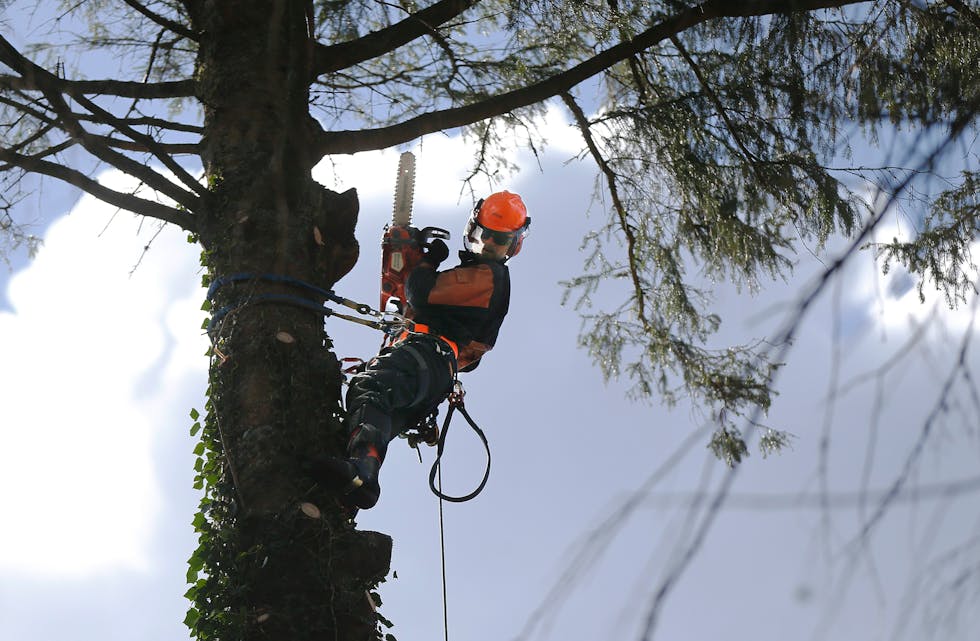 – Eg kan vel konkludere med at eg er heldig som har to draumejobbar, seier Mikael Benjamin Myklebust. Foto: Harald Nordbakken