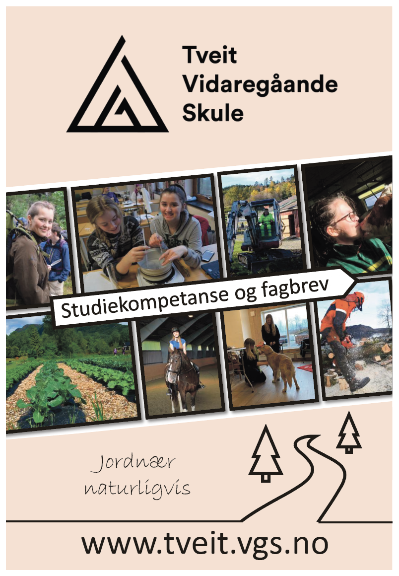 Skjermbilde 2021-06-30 kl. 10.38.24