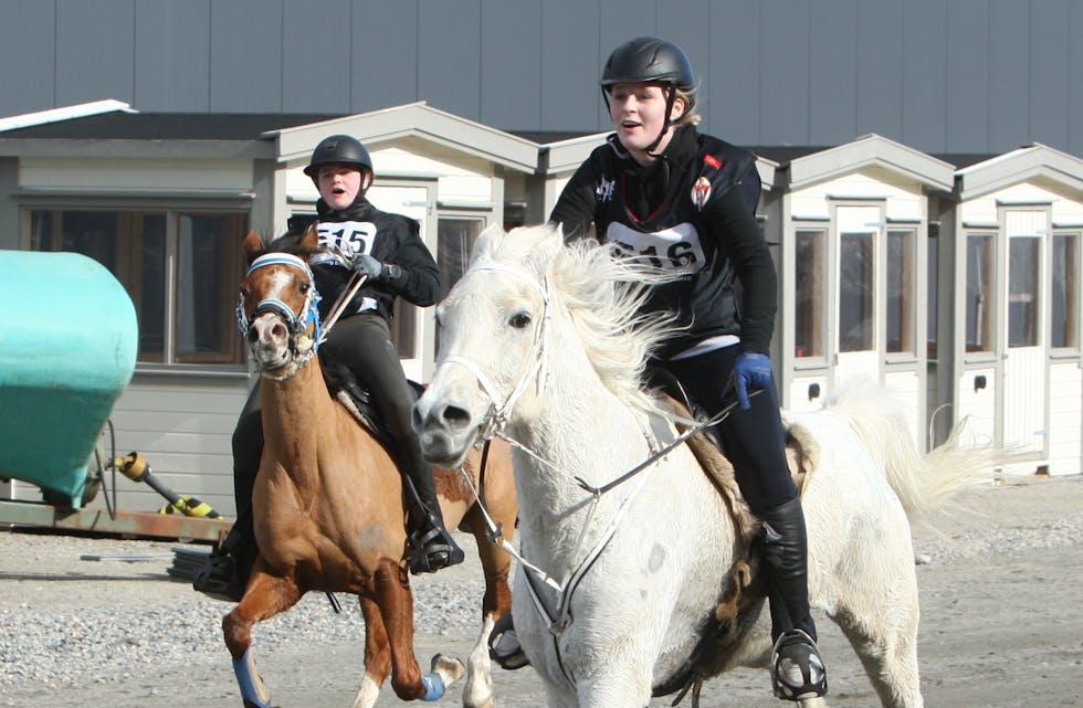 Julia Amélie Bersaas Mølstre og hesten AR Sheikh Pacha (t.h) kom først i mål etter ein knallhard duell med Malene Bergersen Bakken og Shanameh.
Foto: Alf-Einar Kvalavåg