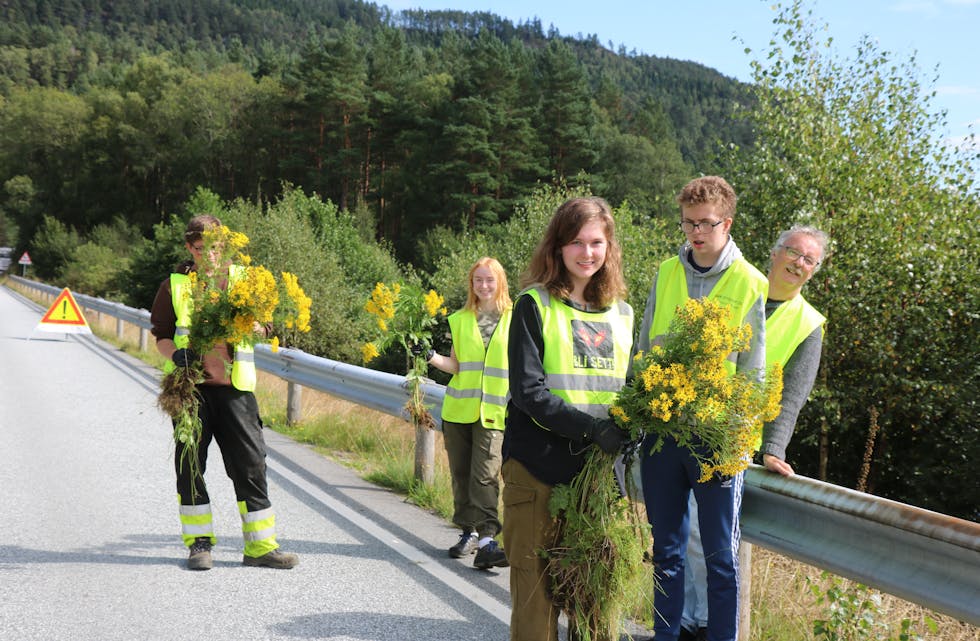 Ørjan Steinsland, Sigrid Vaarvik Benninghoff, Erica Jakobsen, Joakim Bjørk og lærar Gunnar Våge ute for å finne landøyda lang vegen.