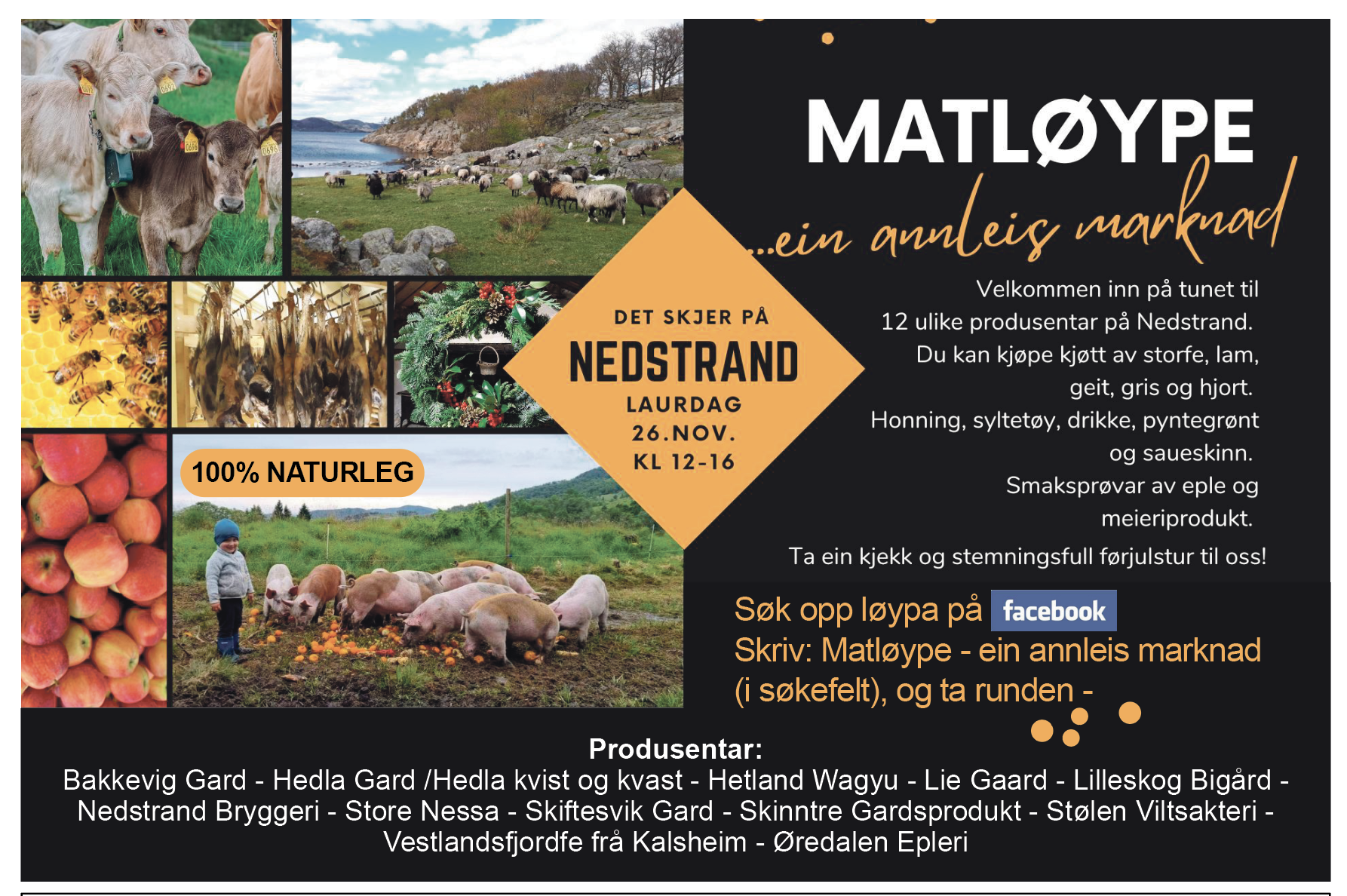 Skjermbilde 2022-11-23 kl. 13.55.40