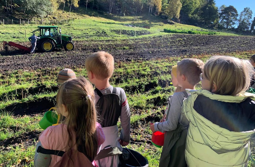 Rundt høstferien hjalp de Tveit skule med potet-høsting, og elevene lærte mye om poteter. 