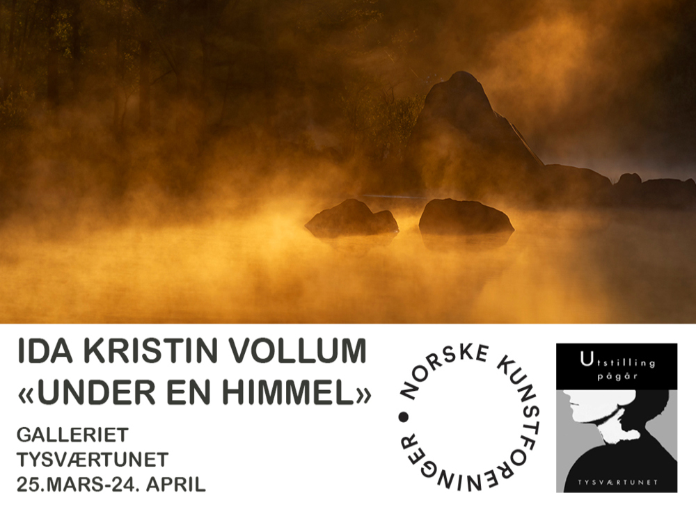 NETTBANNER utstilling mars 2023