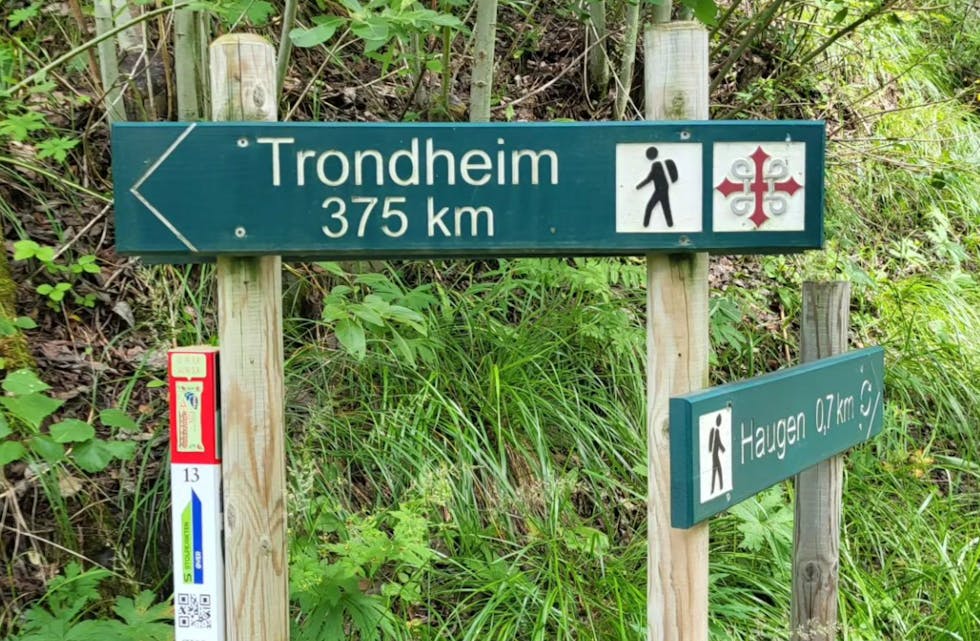 Det er langt fra Oslo til Trondheim, men nå er Nina Pedersen snart halvveis.