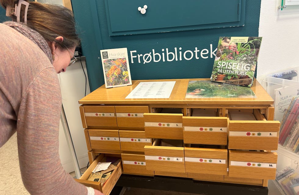 På frøbiblioteket i Tysvær finnes det over 40 forskjellige sorter frø.