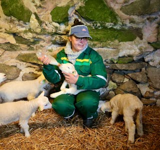 Anna Henriette Eikje saman med dei lamma som ikkje klarer seg sjølv. Å ha lam er herleg, travelt og også utfordringene. Men eit vårteikn er det på garden.
Foto: Alf-Einar Kvalavåg