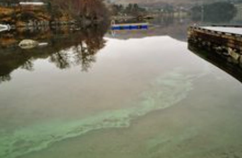 Slik ser det ut i Frakkagjerddalen nå.