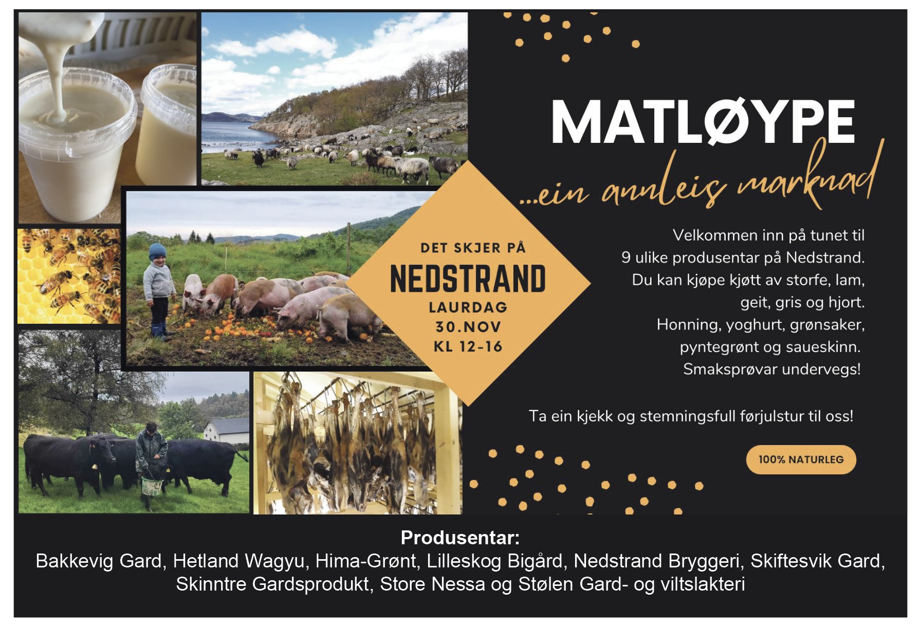 Skjermbilde 2024-11-27 kl. 13.56.51