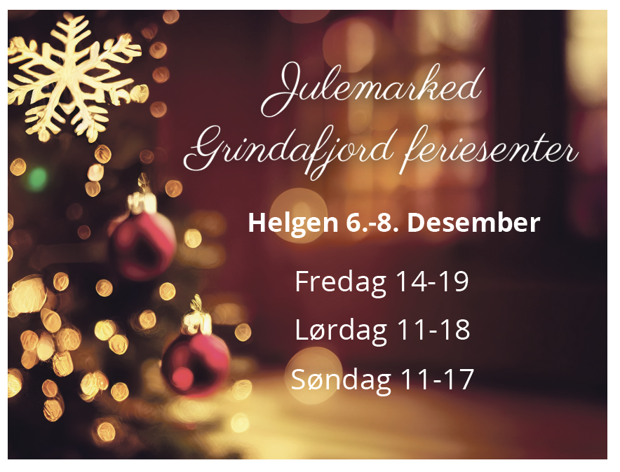 Skjermbilde 2024-11-27 kl. 13.57.28