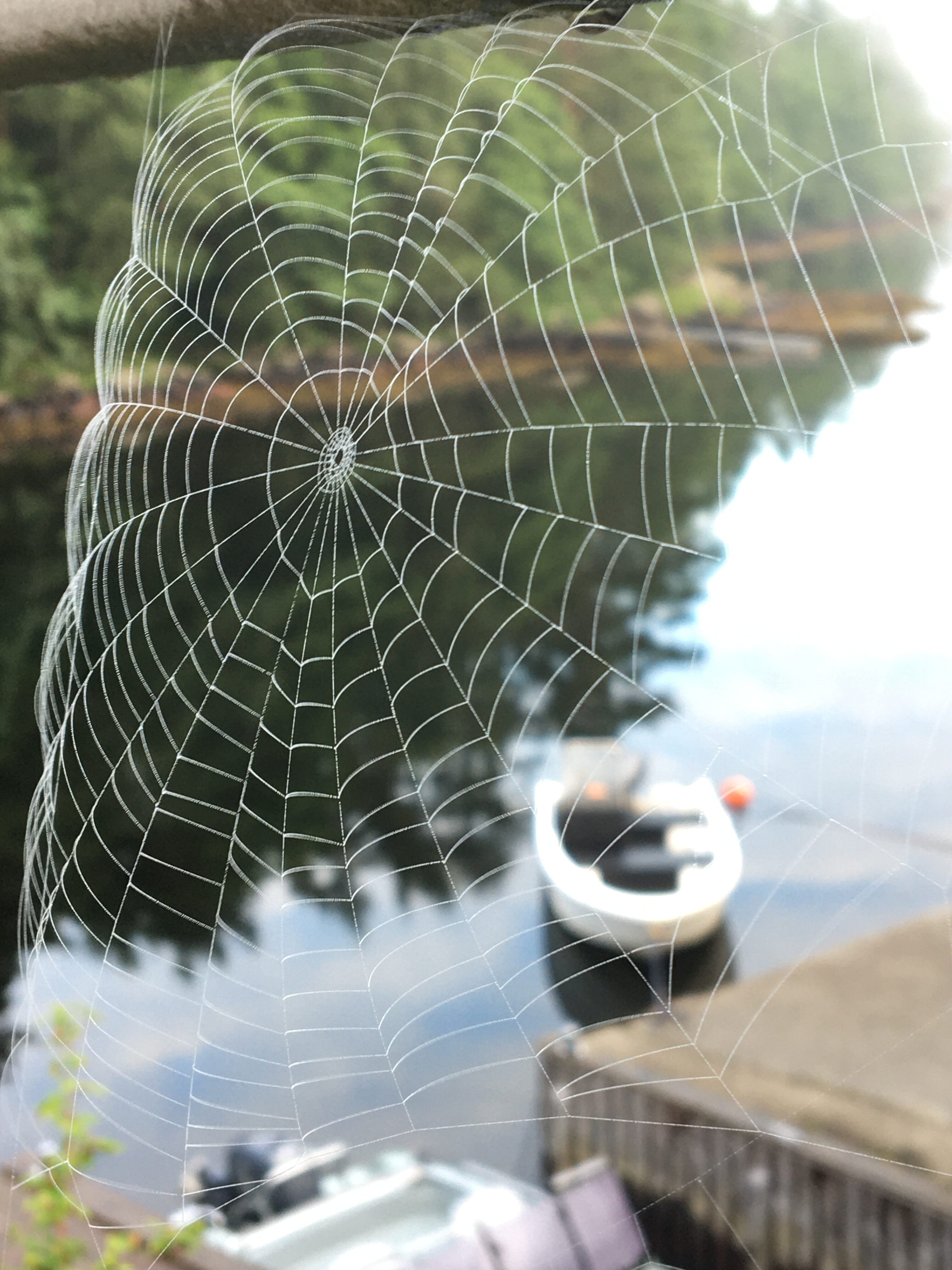 Dei minste naturuttrykka er ofte dei mest talande