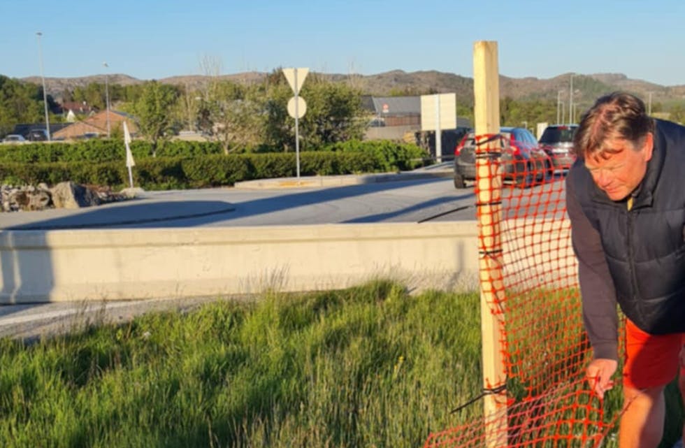 Plastikkgjerdet var ødelagt da vi gikk forbi. På andre siden er det nå laget omkjøringsvei, en strekning som er sterkt trafikkert. Foto: Brit Iren Meland