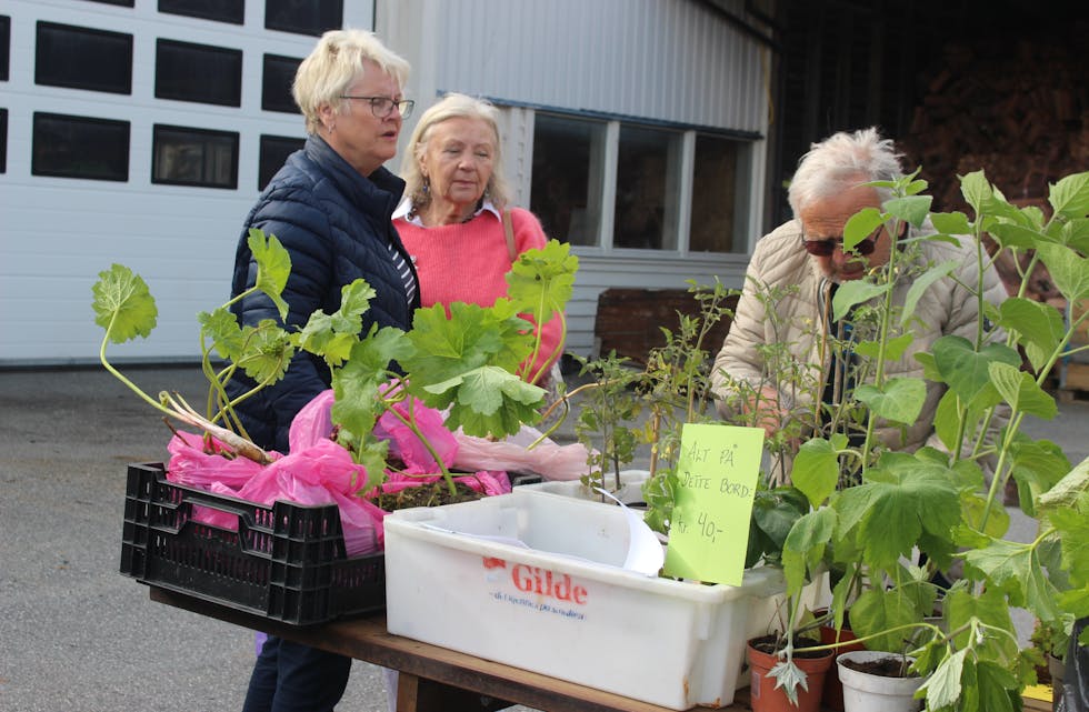 Mange slags vekstar blei omsett på Tysvær Hagelag sin årlege marknad sist måndag.