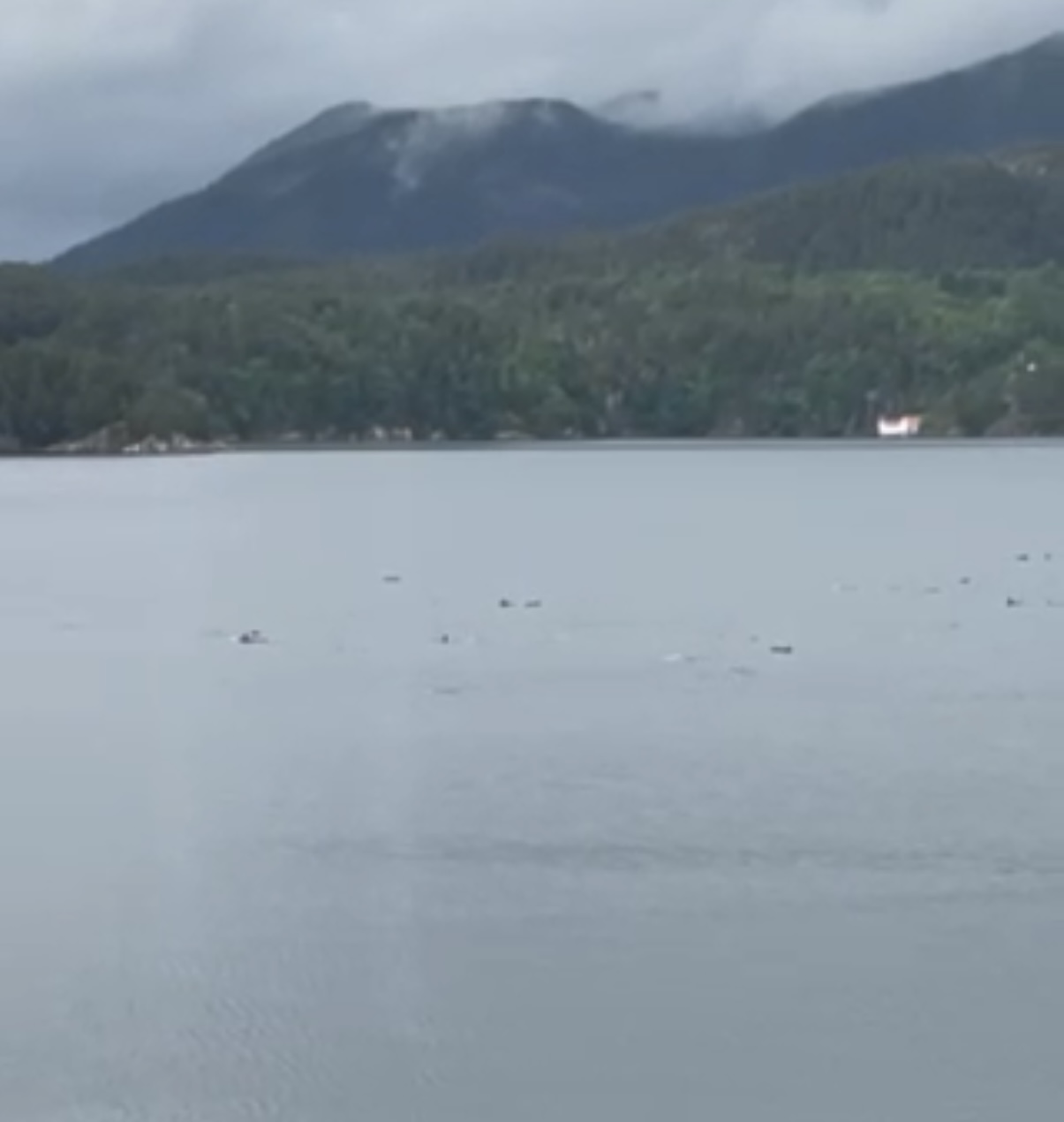 Dette synet møtte folk på Hundsnes tirsdag.