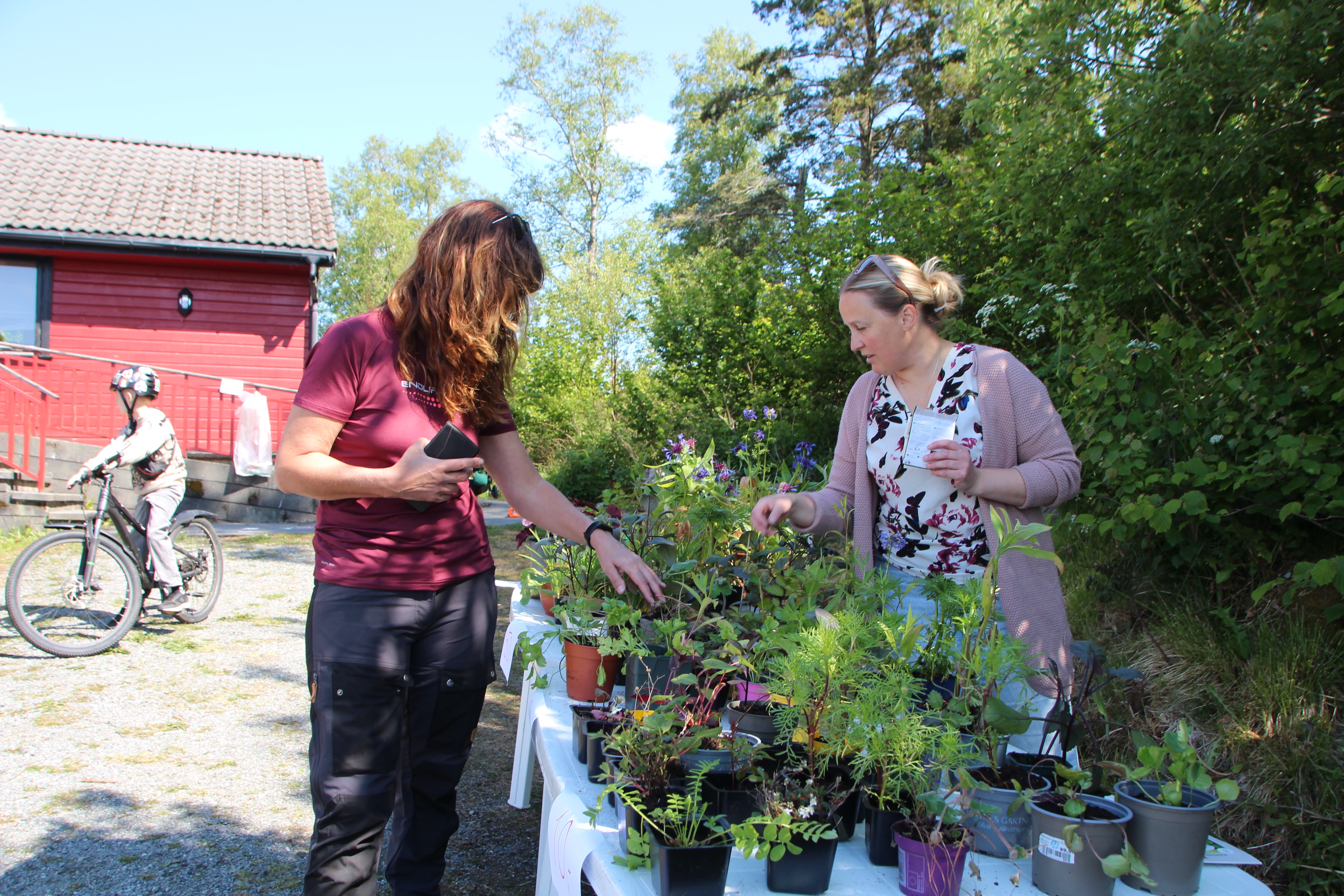 De mest populære vekstene forsvant fort fra Heidi Sandviks stand under helgens hagemarked på Stegaberg grendahus. 