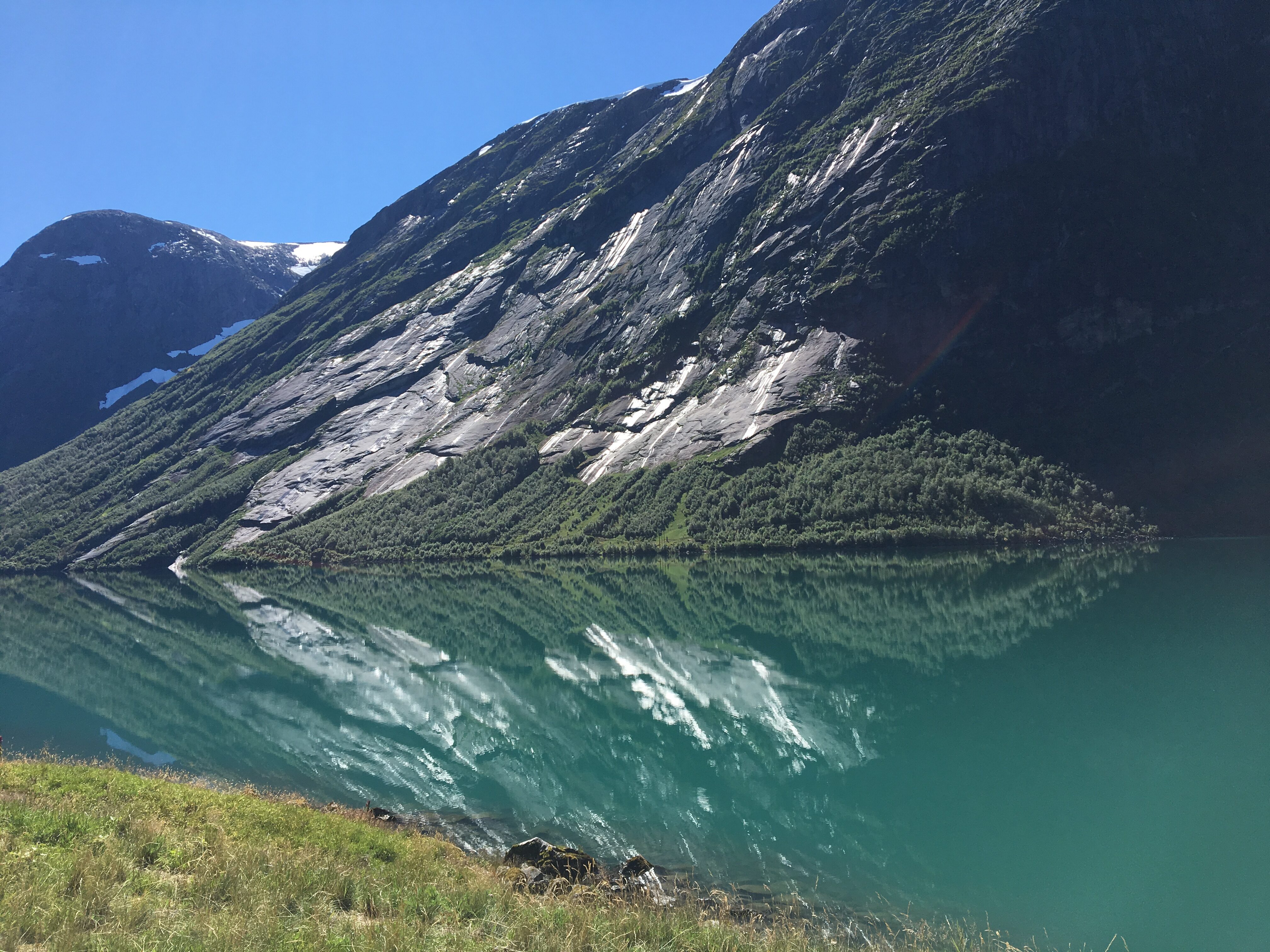 Godt å ha noko å kvila augo på når tankane er på videvanke.