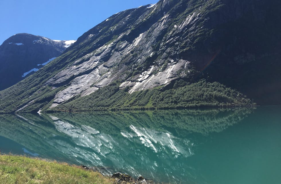 Godt å ha noko å kvila augo på når tankane er på videvanke.