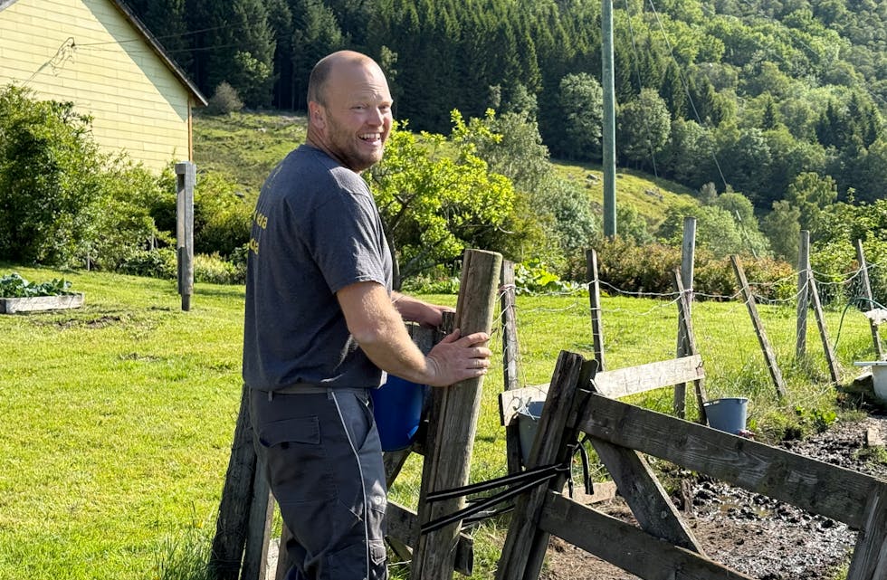 - Auka inntekter i jordbruket har gitt auka framtidstru, skriver Ståle Hustoft, fylkesleder i Rogaland bondelag.