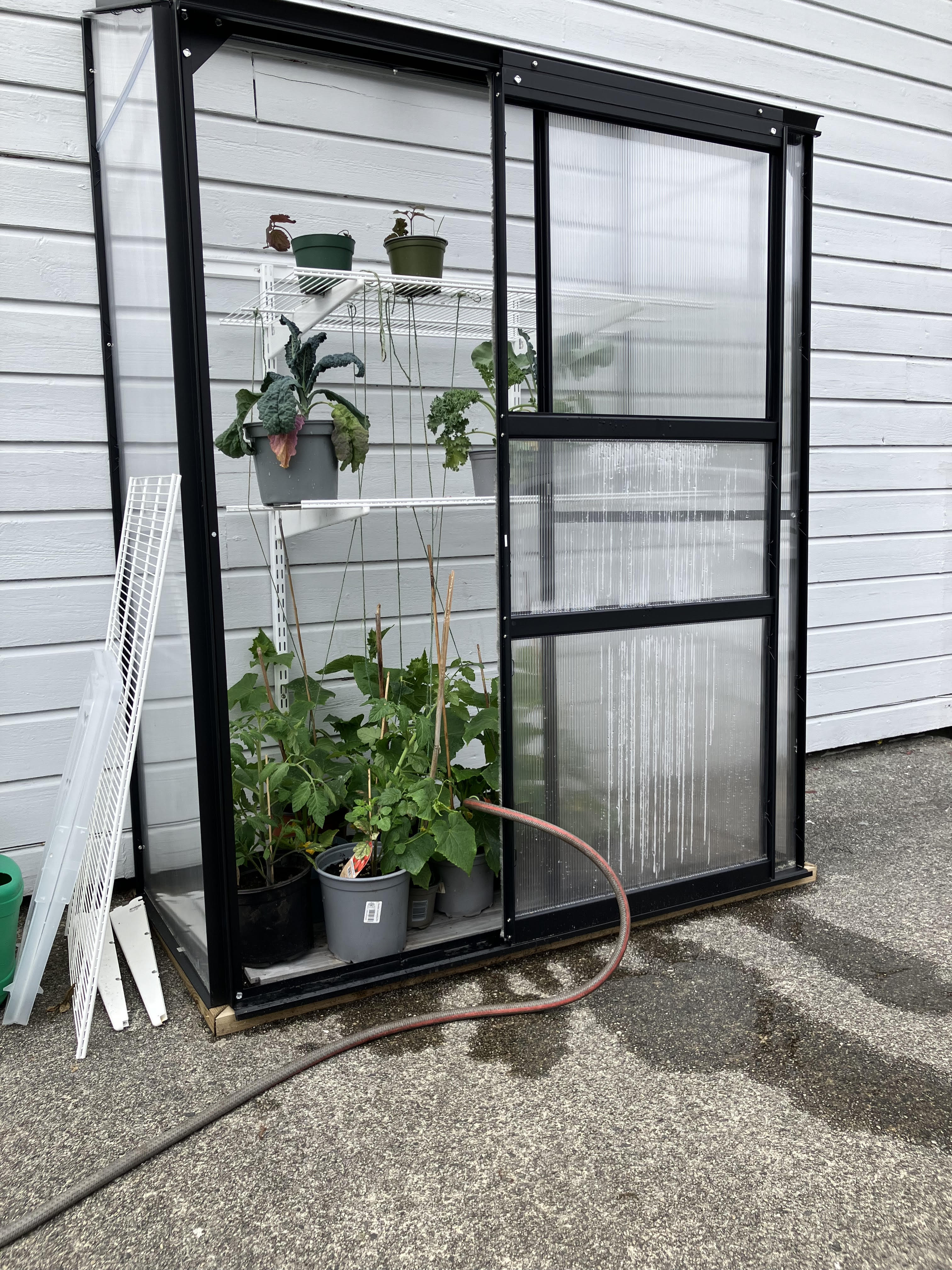 Det kan vere kjekt med drivhus, men ikkje stol på at du unngår skade i stormen, særleg i slike ‘uvanlege’ vindkuler som me har hatt denne sommaren … 