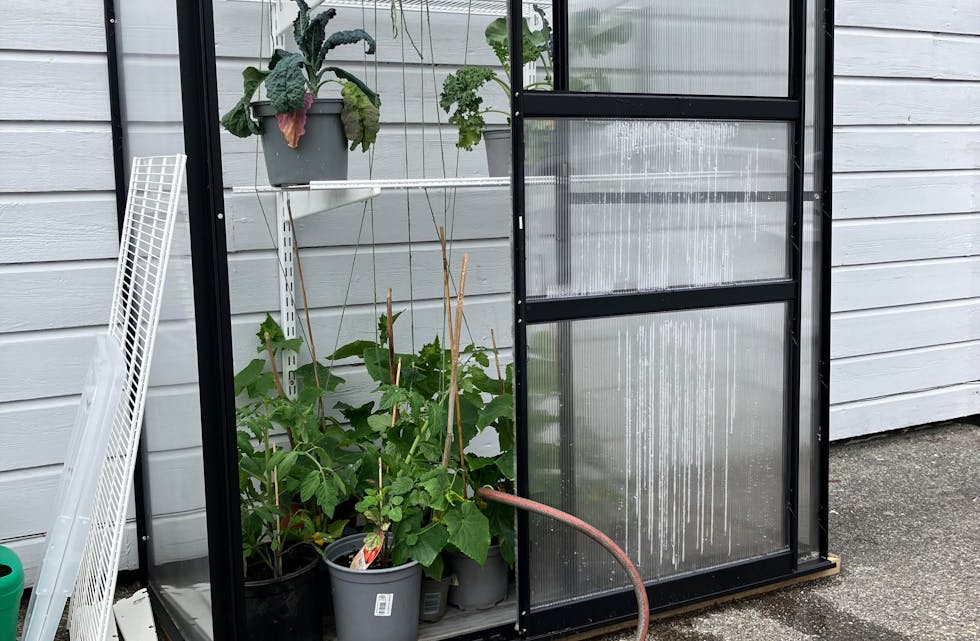 Det kan vere kjekt med drivhus, men ikkje stol på at du unngår skade i stormen, særleg i slike ‘uvanlege’ vindkuler som me har hatt denne sommaren …