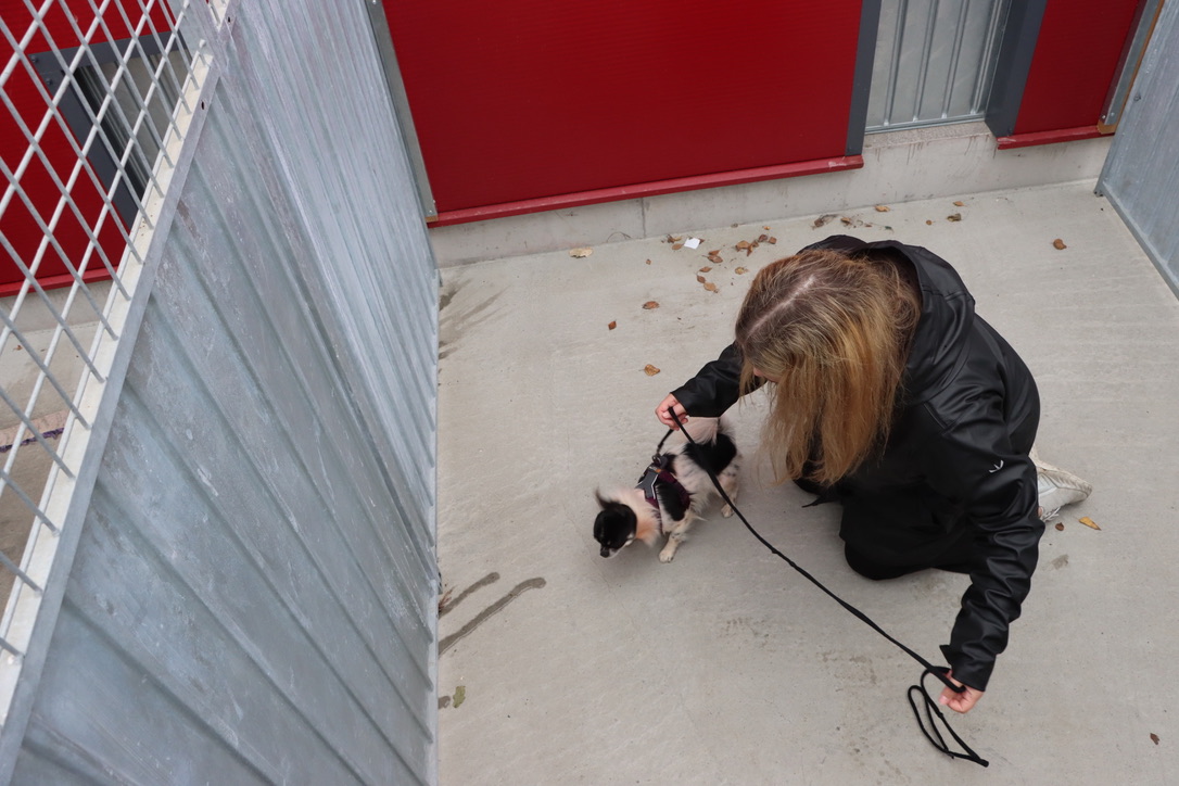 Ronja henter hunden sin.