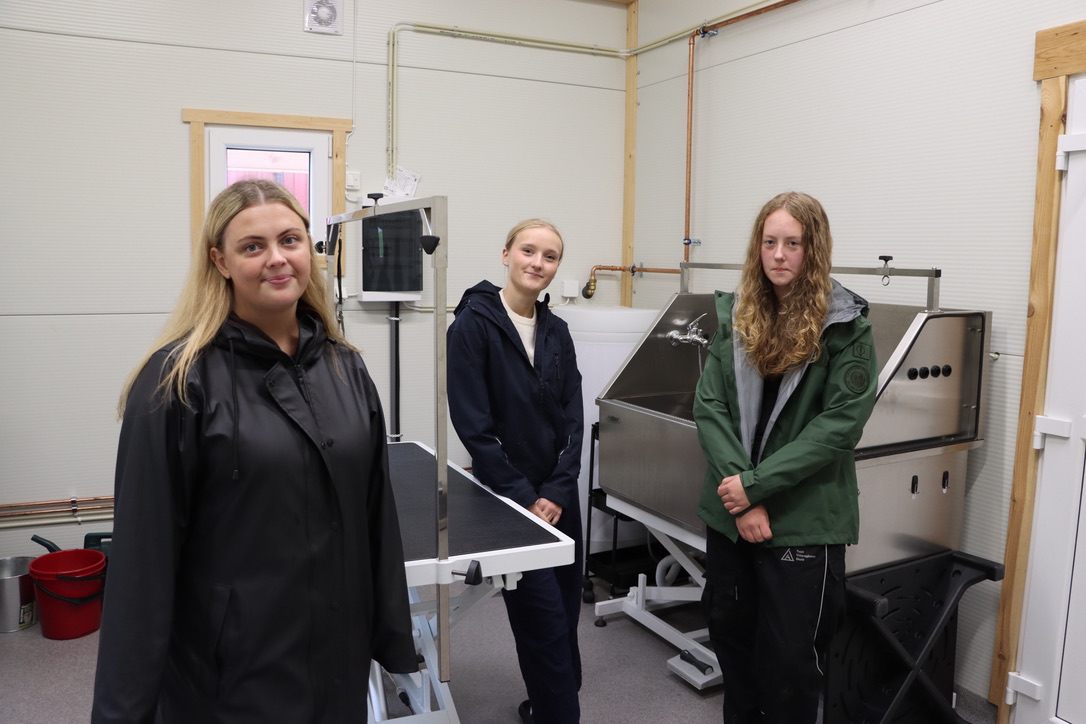 –Vi er overrasket over responsen. Vi fikk tilbakemeldinger allerede før vi kom i gang, sier Ronja Østebøvik (t.v). Her med Mina Amås-Jørgensen (midterst) og Amalie Tungesvik.