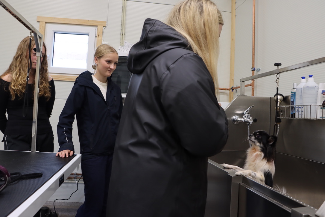 På kennelen har de tilgang på egen hundebane, trenings- og stellerom, samt agilityutstyr.