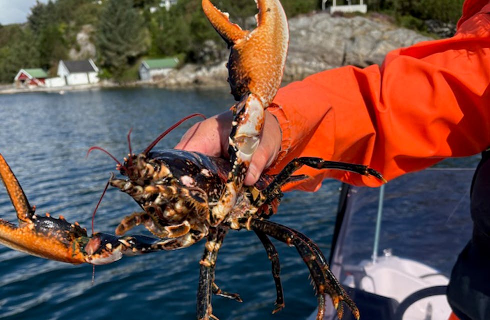 Få timer igjen til høstens fiskeeventyr er i gang.