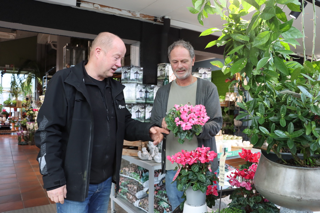Hageland kjøper Palmehagen og flytter inn på vårparten neste år. Her formaliserer Ola Apeland (Hageland) og Osmund Høyvik (Palmehagen) det ved et håndtrykk.