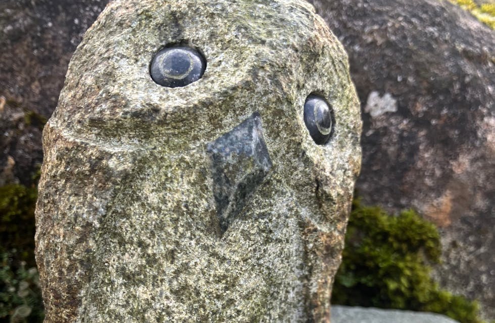 Av og til må ein vere aleine og ikkje gjere anna enn å stirre ut i lufta.