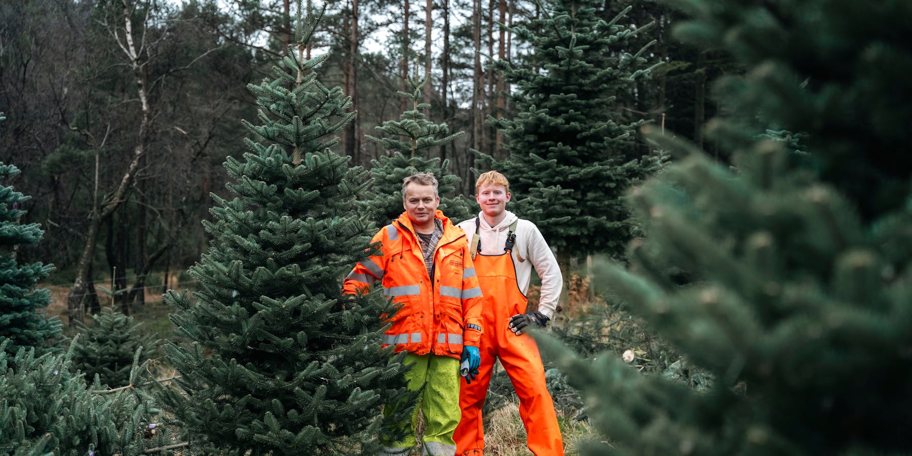 Selv om mange går for kunstig juletre, har Holta alltid opplevd godt salg. Her er Bjarte Holta og Svein Baustad.