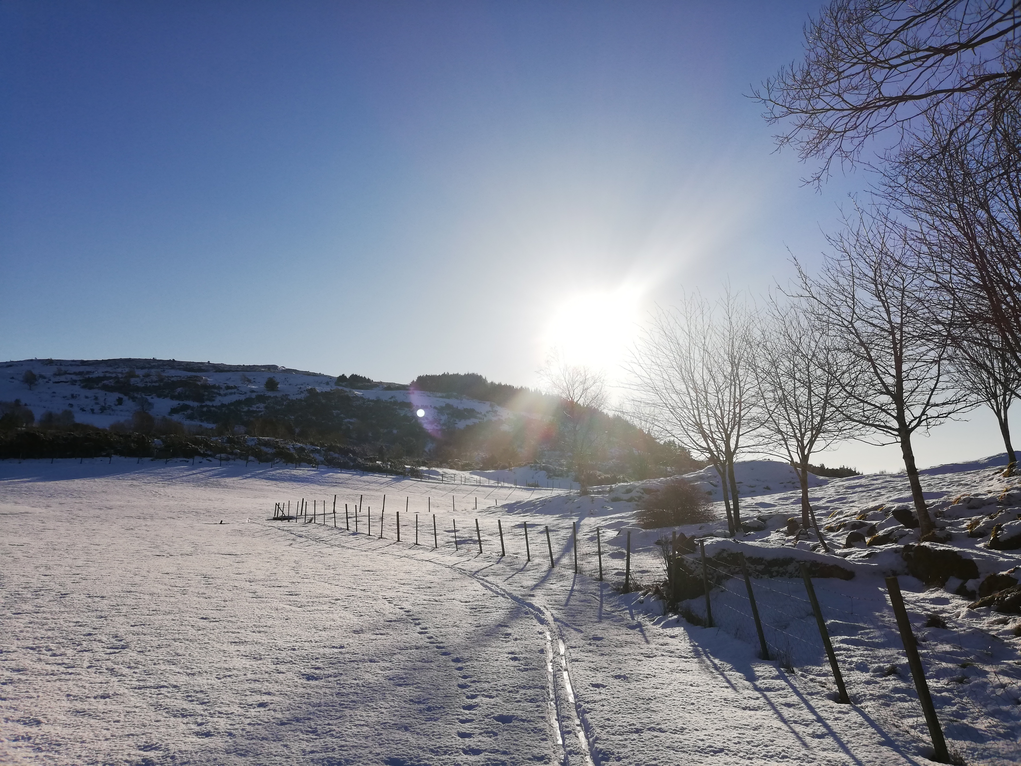 IMG_20190203_141654_resized_20251212_122134415 (1)