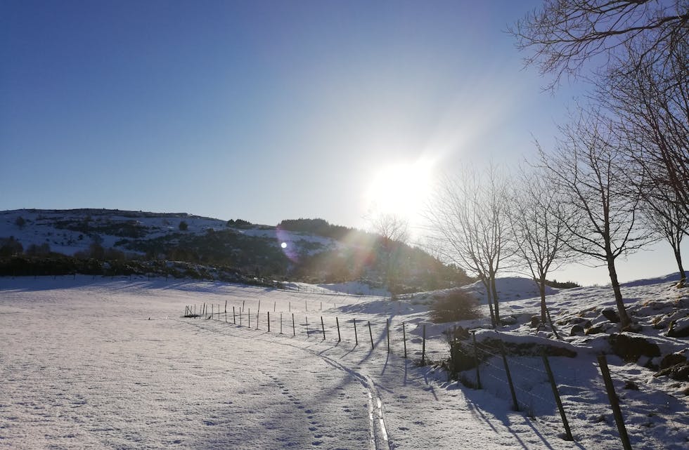 IMG_20190203_141654_resized_20251212_122134415 (1)