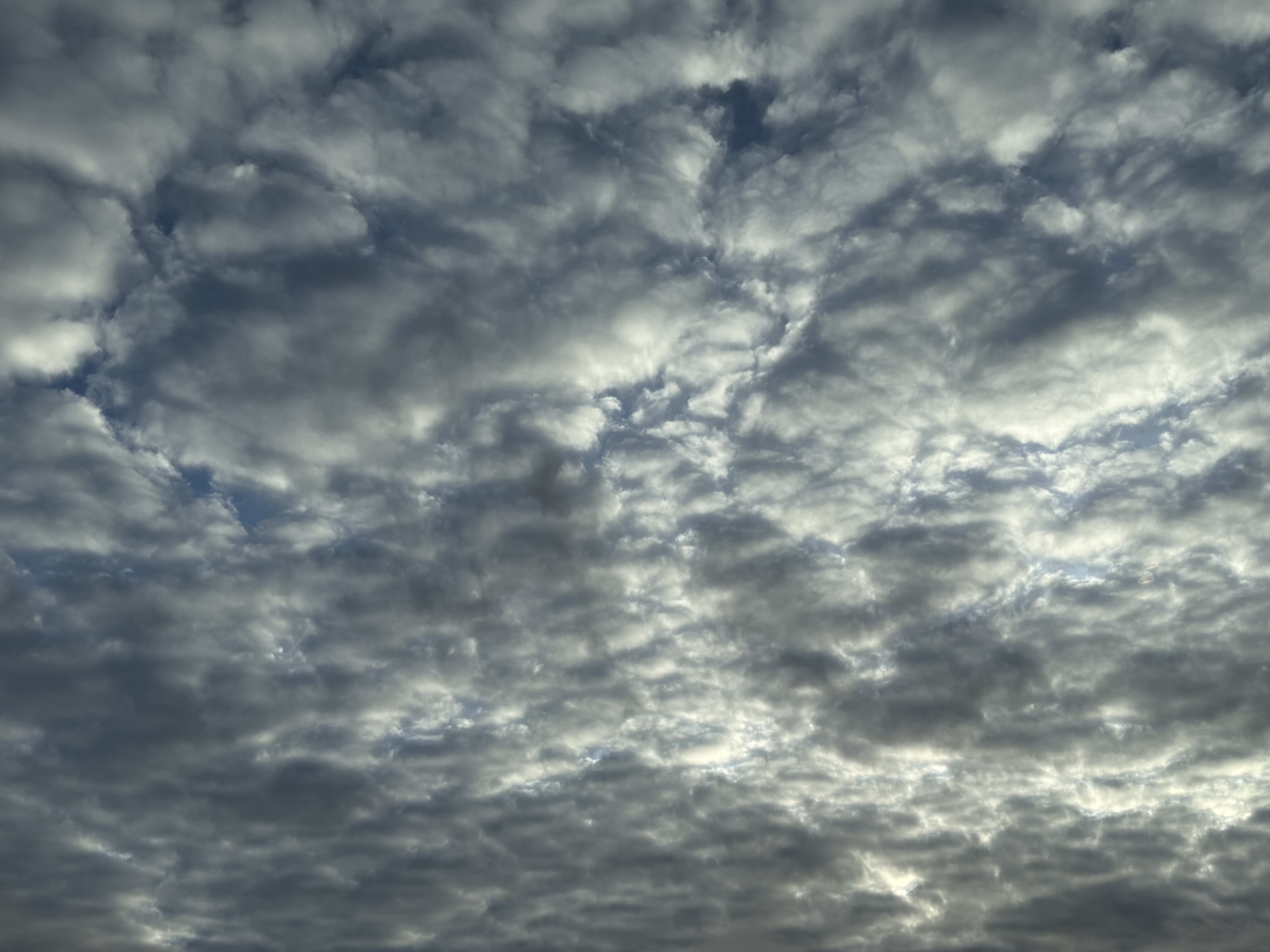 Det blir kaldt, men fint oppholdsvær på juledagen. 