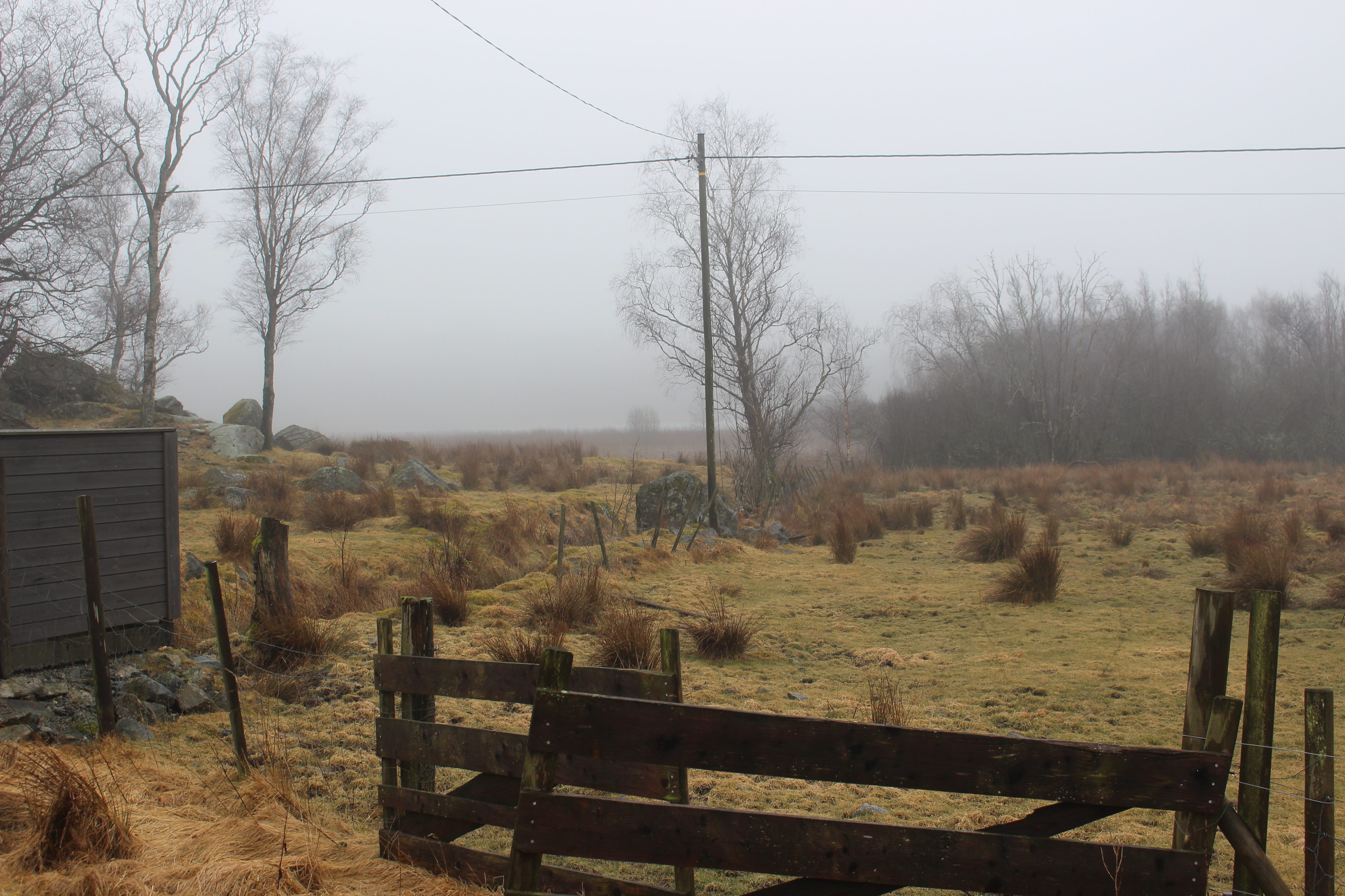 Sjarmlaus, grå, regnfull, kald og hustrig kjem han, mars månad. Det tar nøyaktig 31 dagar å komme seg gjennom han. 