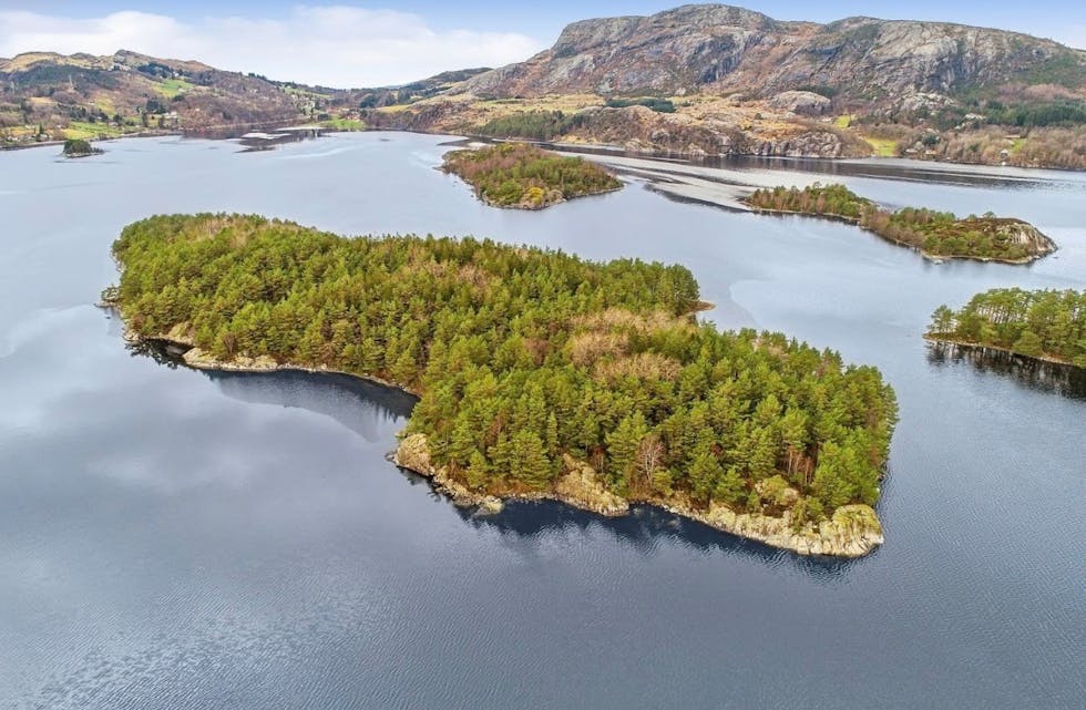 Kvednanesvegen 3 er en svært stor eiendom med tre teiger – en av dem på Stora Grindøyna. Eiendommen gikk for 1, 6 millioner kroner, og ble overtatt i februar. Foto: Skjermdump Finn.no/ DnB Eiendom