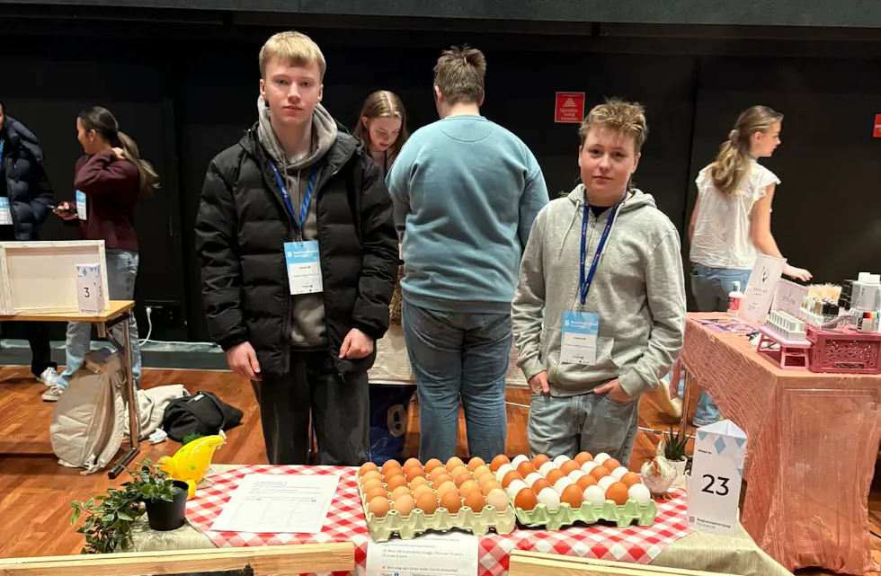 Dissse elvene har laget sin egen elevbedrift der de selger egg. Foto: FUS
