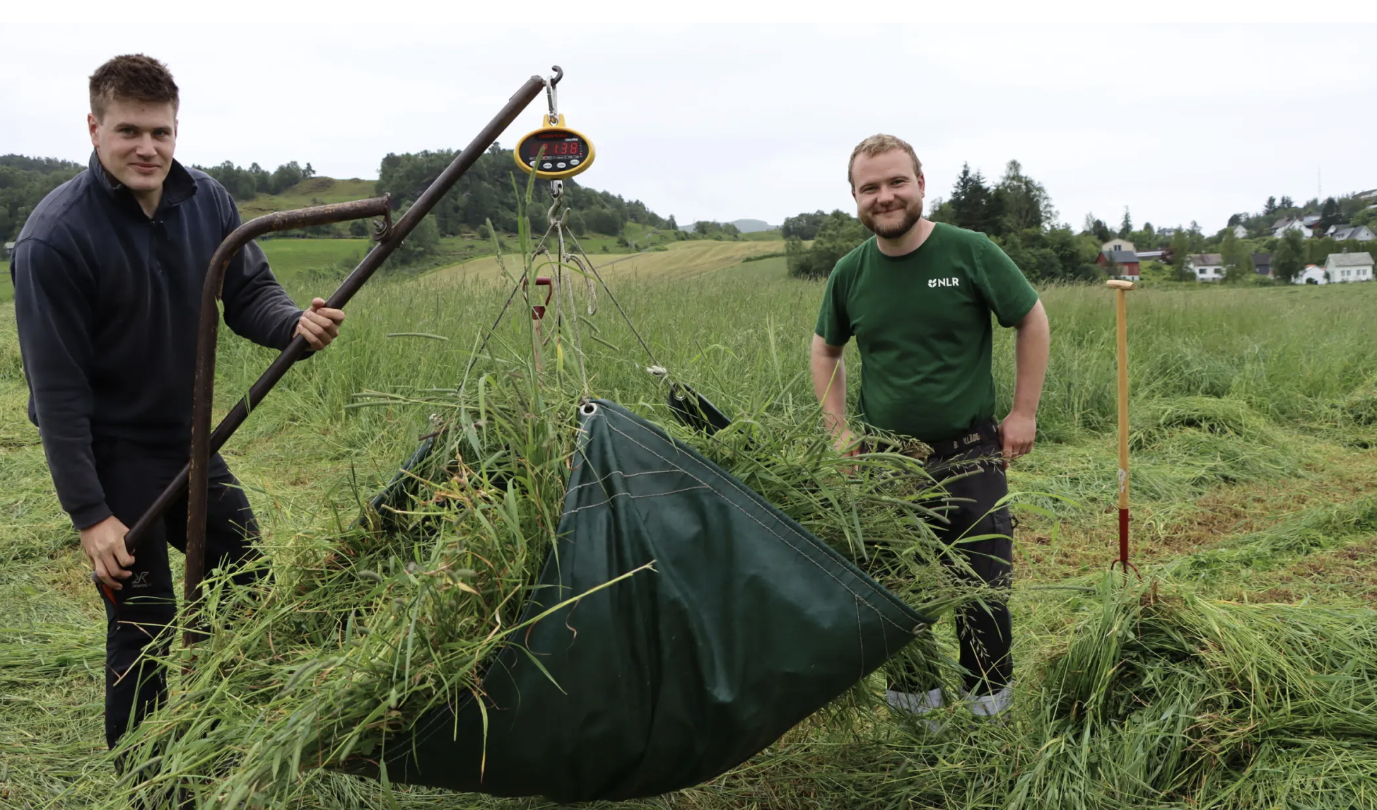 Rådgjevar Olav Havn frå Tysvær og rådgjevar Johannes Bakke frå Vats testar graskvalitet i eitt av forsøksfelta til Norsk Landbruksrådgiving Ølen.