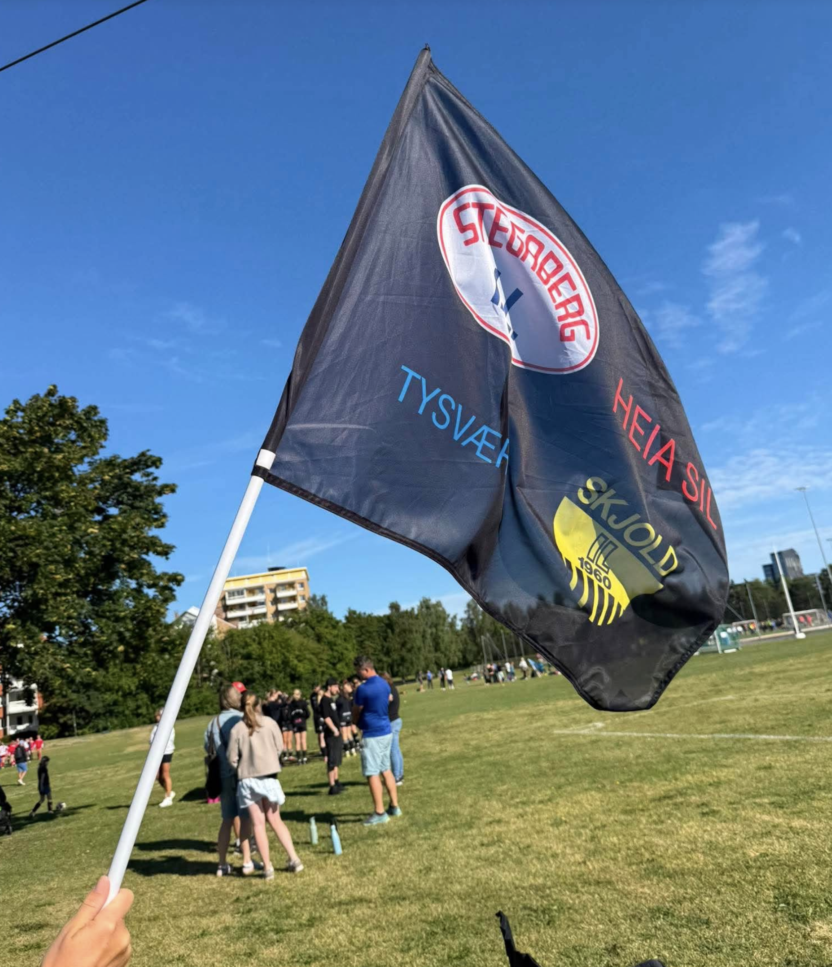 Flagget svaier i Oslo i ettermiddag.
