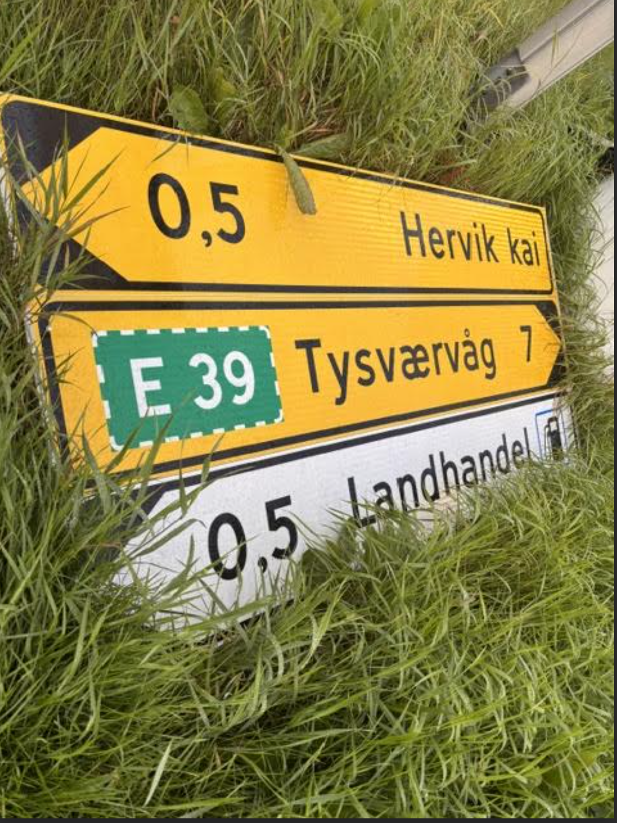 Det er ikke slik en skilter, men nå er arbeidet over og disse skiltene blir satt opp igjen. Foto: TB-tipser