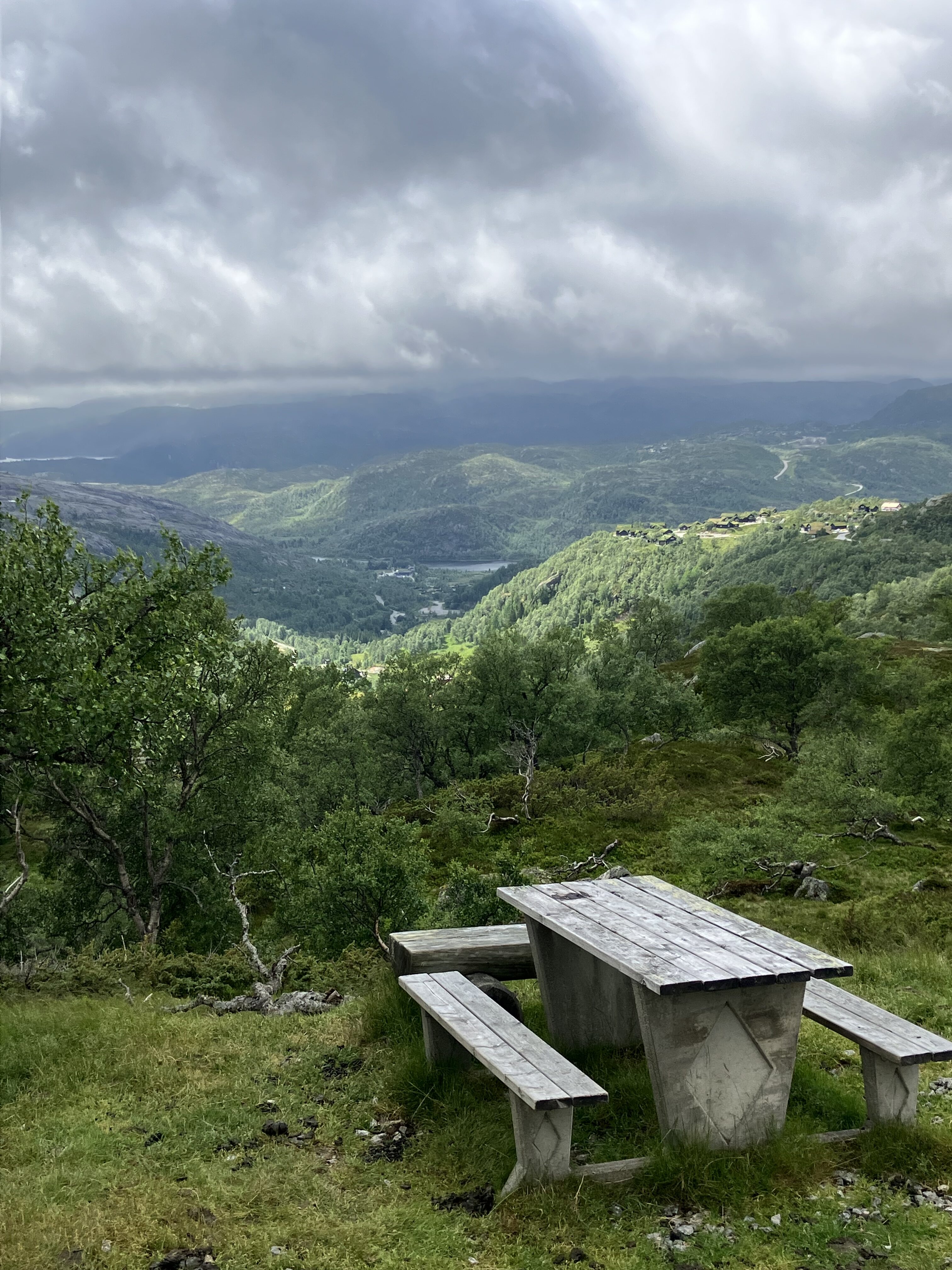 Frå Suleskarsvegen.